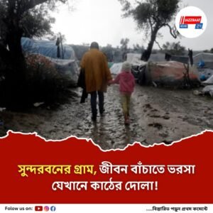 সুন্দরবনের গ্রাম, জীবন বাঁচাতে ভরসা যেখানে কাঠের দোলা!