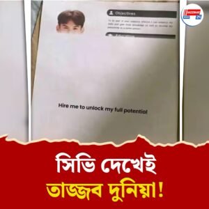 ‘ফুল পোটেনশিয়াল’ দেখতে চান, নিয়োগ করুন আমায়! চাকরিপ্রার্থীর সিভি দেখে ভিরমি খাচ্ছেন তাবড় নিয়োগকারীরা