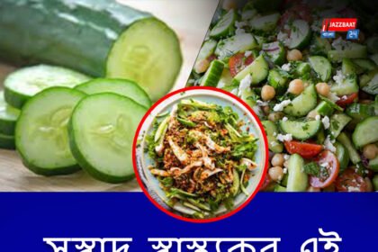 শসার সবজি তৈরীর পদ্ধতি