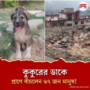 বুঝতে পেরেছিল আগেই, চিৎকার করে ঘুম ভাঙিয়ে আস্ত গ্রামের প্রাণ বাঁচাল শেরু! হিমাচলে অদ্ভুত ঘটনা