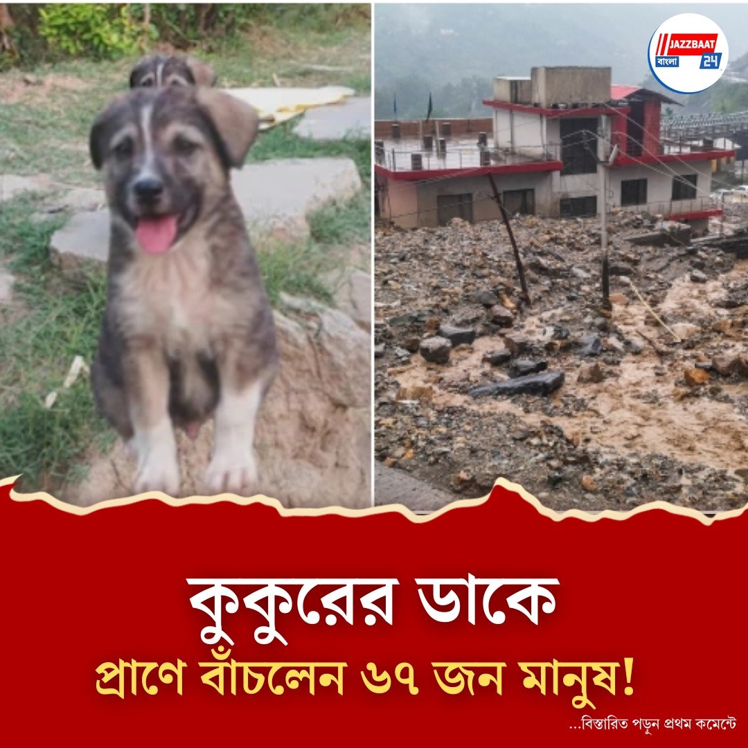 বুঝতে পেরেছিল আগেই, চিৎকার করে ঘুম ভাঙিয়ে আস্ত গ্রামের প্রাণ বাঁচাল শেরু! হিমাচলে অদ্ভুত ঘটনা