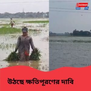 একটানা বৃষ্টি ও ডিভিসি-র ছাড়া জলে প্লাবিত হরিপাল ব্লকের বিস্তীর্ণ এলাকা, মাথায় হাত কৃষকদের