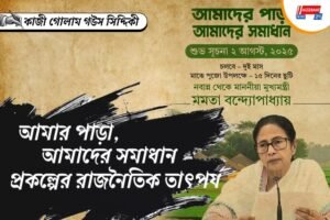 আমার পাড়া, প্রকল্পের রাজনৈতিক তাৎপর্য