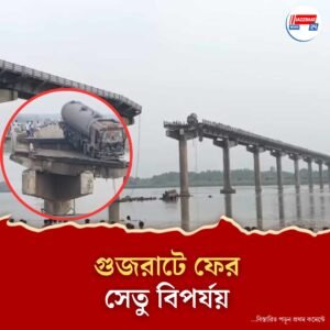 হঠাৎ মাঝখান থেকে ফেটে গেল সেতু! নদীতে তলিয়ে গেল গাড়ি, মৃতের সংখ্যা বাড়ছেই!