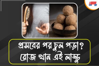 প্রসবোত্তর টাক পড়া রুখবে ঘরোয়া পুষ্টিকর লাড্ডু,