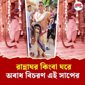 কেউ বলে ‘ঝাঁকলাই’, কেউ বলে ‘ঝঙ্কেশ্বরী’, বাংলার এই গ্রামে বিষধর কেউটেই পূজিত হন দেবীজ্ঞানে