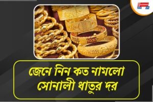 লক্ষ্মীবারে লক্ষীলাভ, কমল সোনার দাম