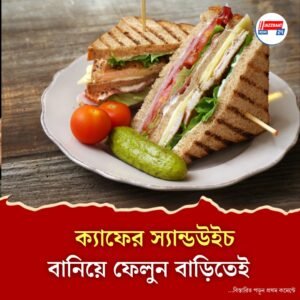 বিকেলের স্ন্যাকস বা জলখাবারে পারফেক্ট চিকেন মেয়ো স্যান্ডউইচ