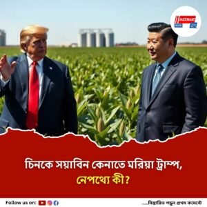 দ্রুত মার্কিন সয়াবিন কিনুন, শুল্ক বিরতির মেয়াদ শেষের আগেই চিনকে টোপ ট্রাম্পের