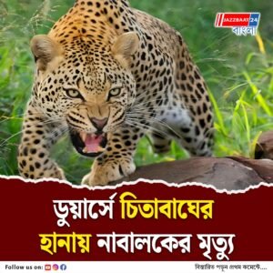 ভয় ও আতঙ্কে ভোগা গ্রামবাসীরা বন দফতরের বিরুদ্ধে ক্ষোভে ফুঁসছে