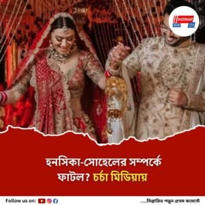 ভাঙছে হনসিকা-সোহেলের সংসার? একসঙ্গে থাকছেন না দু’জনে!
