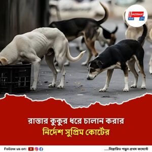 রাস্তার কুকুর নিয়ে ‘সুপ্রিম’ নির্দেশ, বাধা দিলে ব্যবস্থা নেব