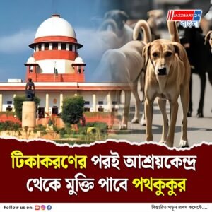 হিংস্র স্বভাবের কুকুরদের ছাড়া যাবে না, পথকুকুর সংক্রান্ত মামলায় নির্দেশ সুপ্রিম কোর্টের