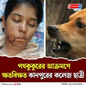 পথকুকুরের সমস্যা সমাধানে সরকারি হস্তক্ষেপের দাবি ছাত্রীর পরিবারের