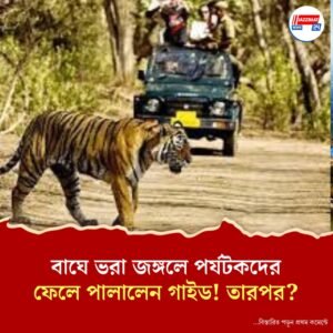 রাজস্থানে টাইগার সাফারির ভয়াবহ অভিজ্ঞতা, জঙ্গলের মাঝে পর্যটকদের ফেলে পালালেন গাইড