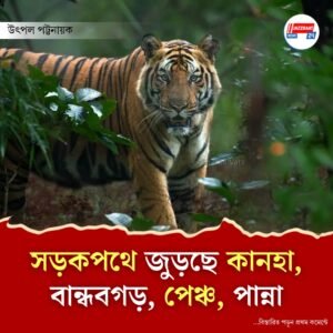 মধ্যপ্রদেশে সাড়ে ৫ হাজার কোটি টাকার টাইগার এক্সপ্রেসওয়ে প্রজেক্ট, বন্যপ্রাণ পর্যটনে জোয়ার আসছে মধ্যপ্রদেশে