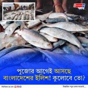 বাংলার পুজোয় এবার পদ্মার ইলিশ! ভারতে পাঠাতে কত টনের অনুমতি দিল বাংলাদেশ?