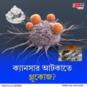 ক্যানসার প্রতিরোধে ম্যাজিক দেখাতে পারে গ্লুকোজ! গবেষণায় নয়া দিশা