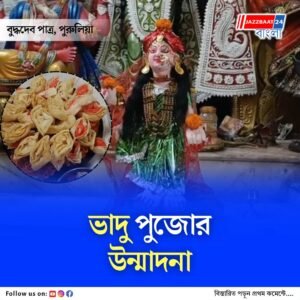 ঝালদায় ভাদু পুজোর রাত, মিষ্টির মেলা আর গানের জাদুতে মাতল পুরো পুরুলিয়া জেলা!