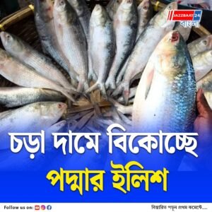 বেনাপোল-পেট্রাপোল সীমান্তে ইলিশভর্তি ট্রাক, শারদোৎসবের আগেই পাইকারি ও খুচরো বাজারে আলো ছড়াচ্ছে বাংলাদেশি ইলিশ