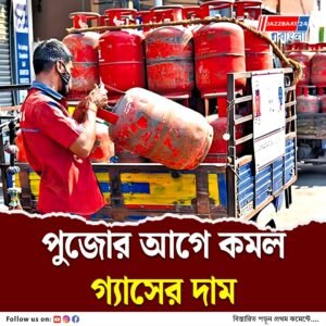 গ্যাসের দাম কমল, পুরো সস্তা! গৃহস্থের রান্নাঘরে কি স্বস্তি ফিরবে?