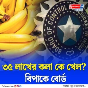 ক্রিকেটারদের কলার জন্য খরচ হয়েছে ৩৫ লাখ! বোর্ডকে সমন ধরাল আদালত